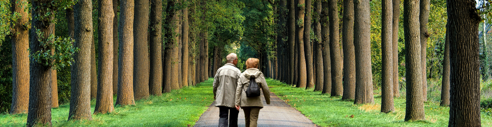 Couple walking in forest