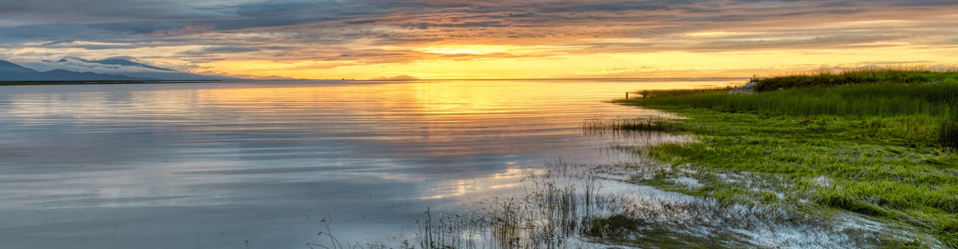 Grassland leading into water at sunset