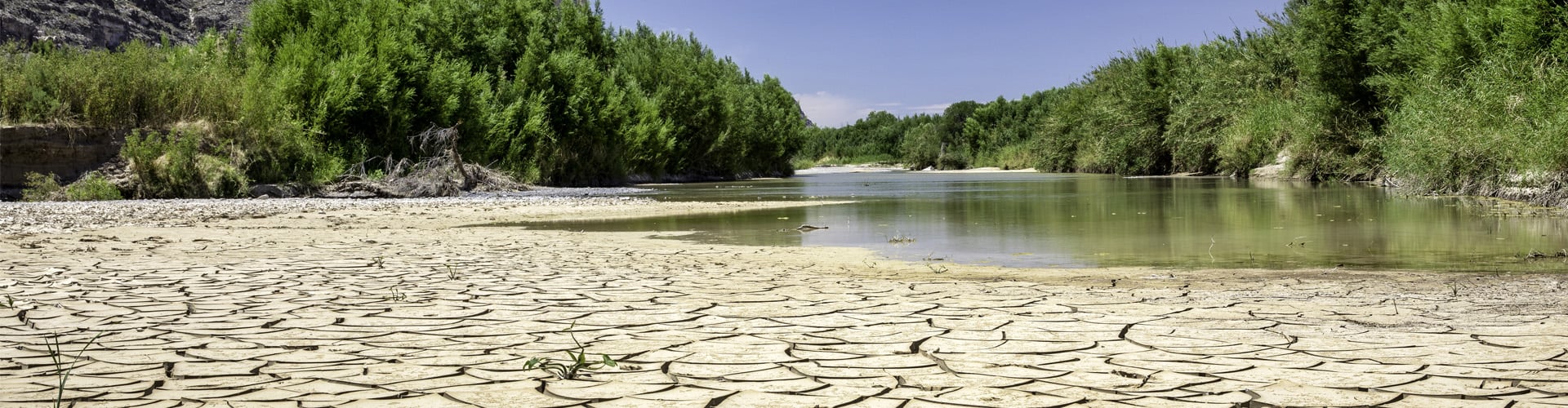 Dry riverbank